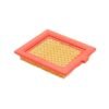 Mountfield Air Filter for Lawnmower - 118550147/0