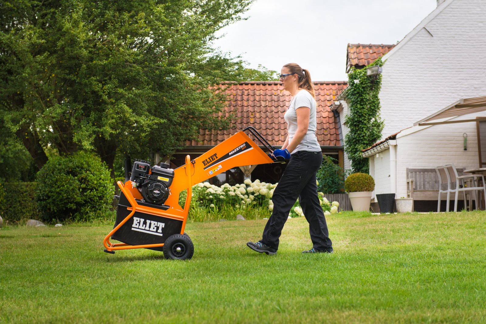 ELIET Maestro City Shredder - Image 2