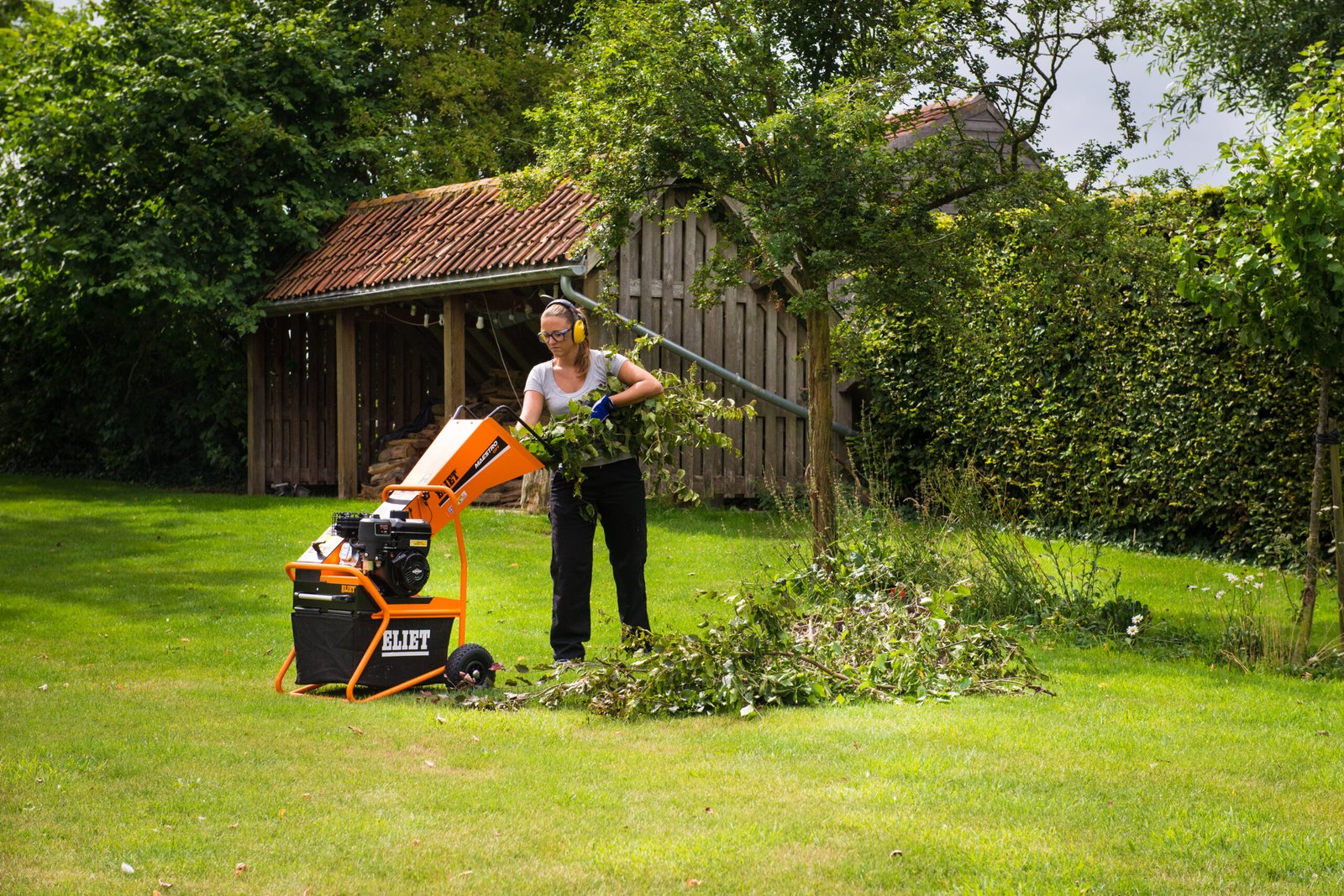 ELIET Maestro City Shredder - Image 3