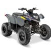 Polaris Phoenix 200 Storm Gray
