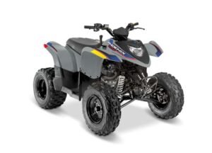 Polaris Phoenix 200 Storm Gray